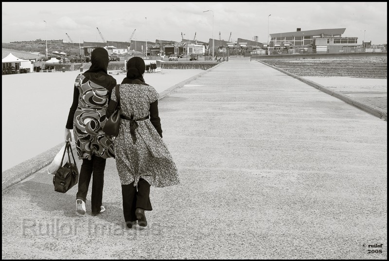 HavenhoofdScheveningen.jpg