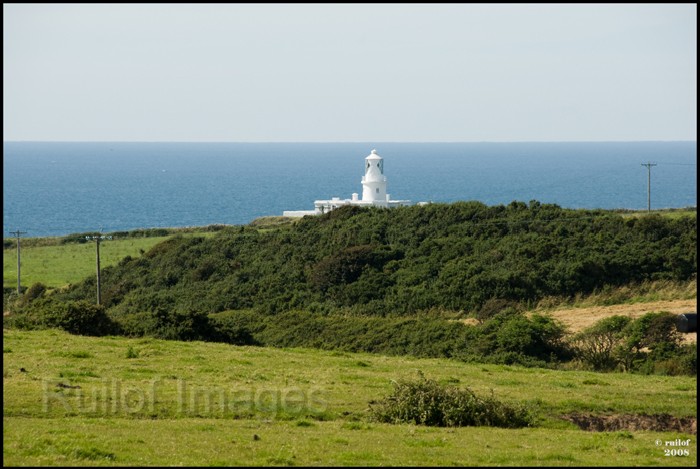 Strumblehead-4.jpg