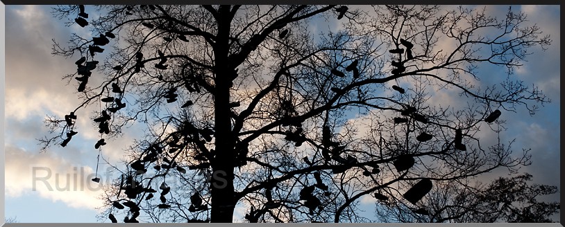 Weth.Alferinkweg_0036-blog.jpg