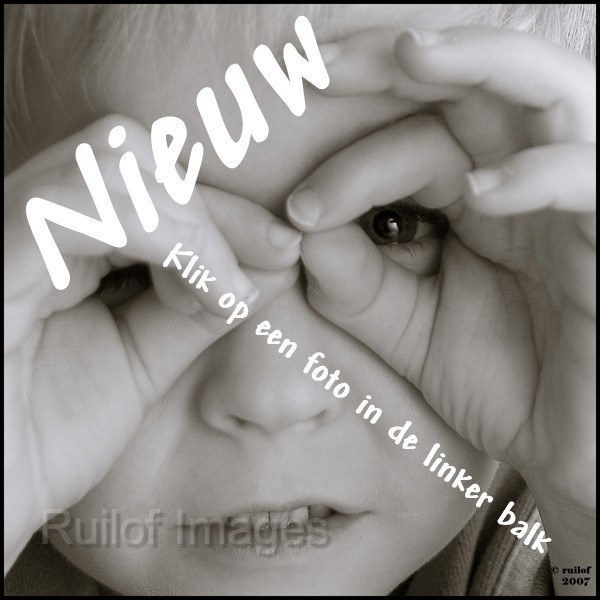 Nieuw.jpg