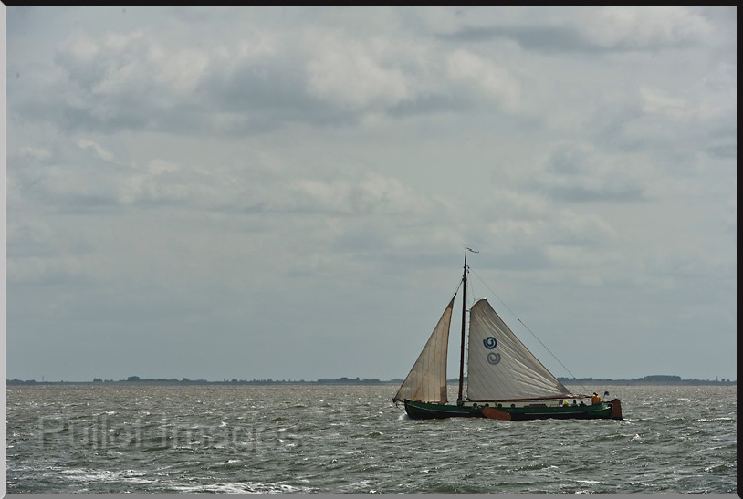 DSC_7609.jpg