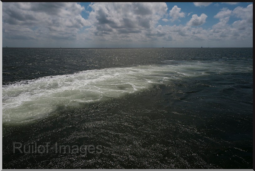 DSC_7632.jpg