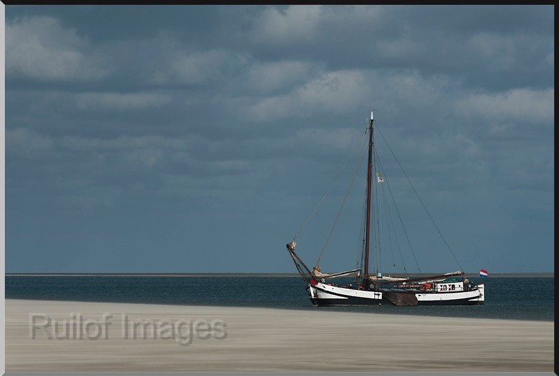 DSC_7660.jpg