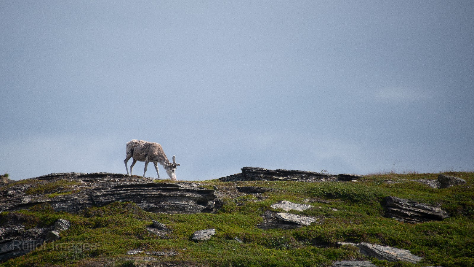 DSC_2077.jpg