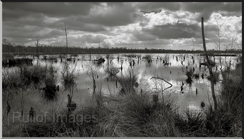 De Peel-DSC_4119.jpg