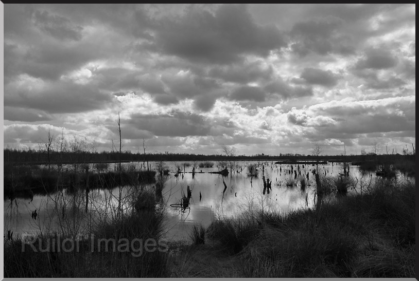 De Peel-DSC_4121.jpg