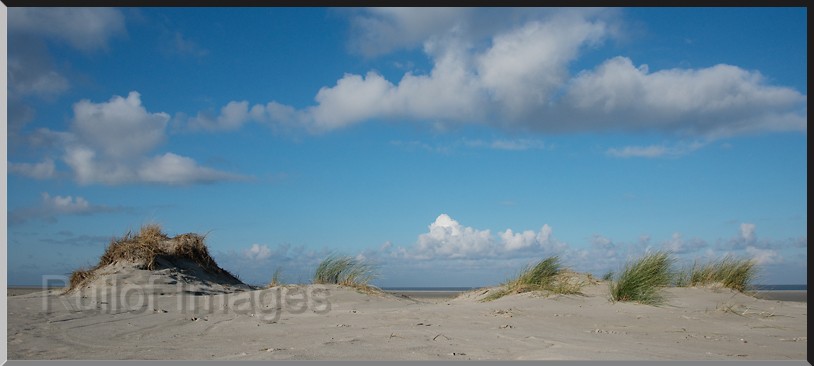 Schiermonnikoog-DSC_0236.jpg