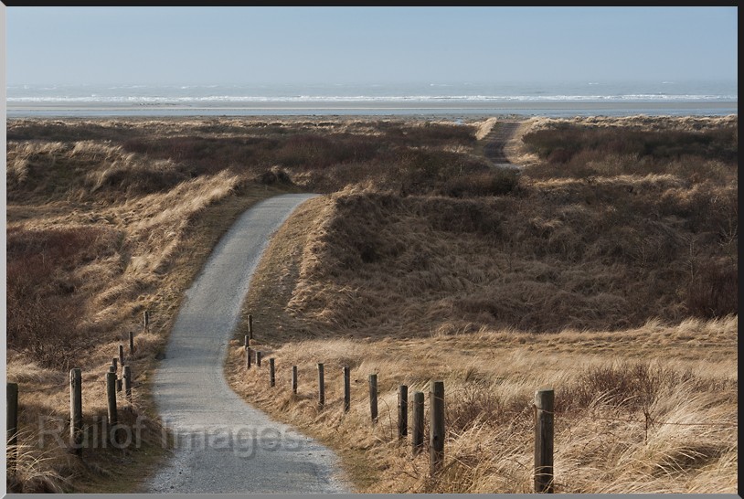 Schiermonnikoog-DSC_4313.jpg