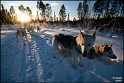 Lapland-Tocht2