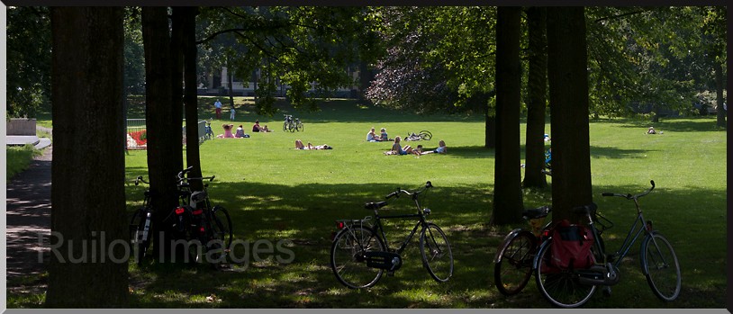 Ter Pelkwijkpark_9869.jpg